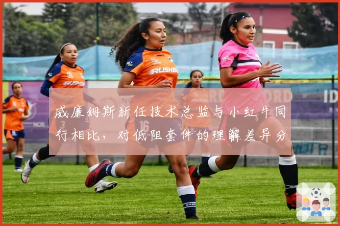 威廉姆斯新任技术总监与小红牛同行相比，对低阻套件的理解差异分析