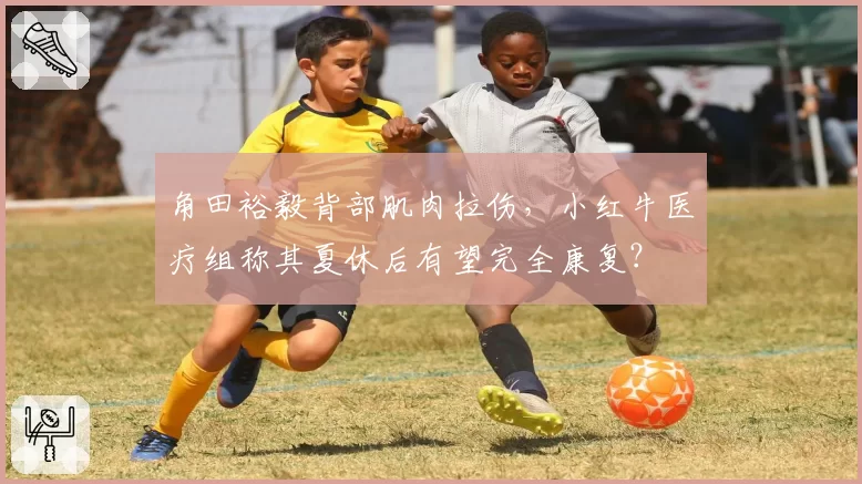角田裕毅背部肌肉拉伤，小红牛医疗组称其夏休后有望完全康复？