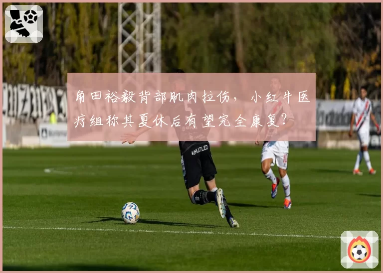 角田裕毅背部肌肉拉伤，小红牛医疗组称其夏休后有望完全康复？