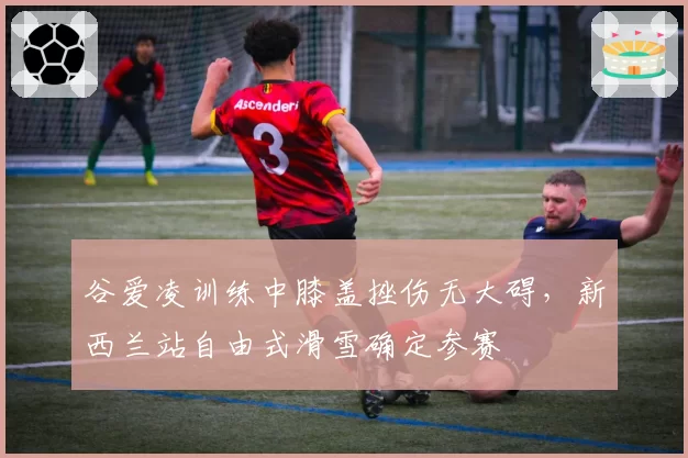 谷爱凌训练中膝盖挫伤无大碍，新西兰站自由式滑雪确定参赛